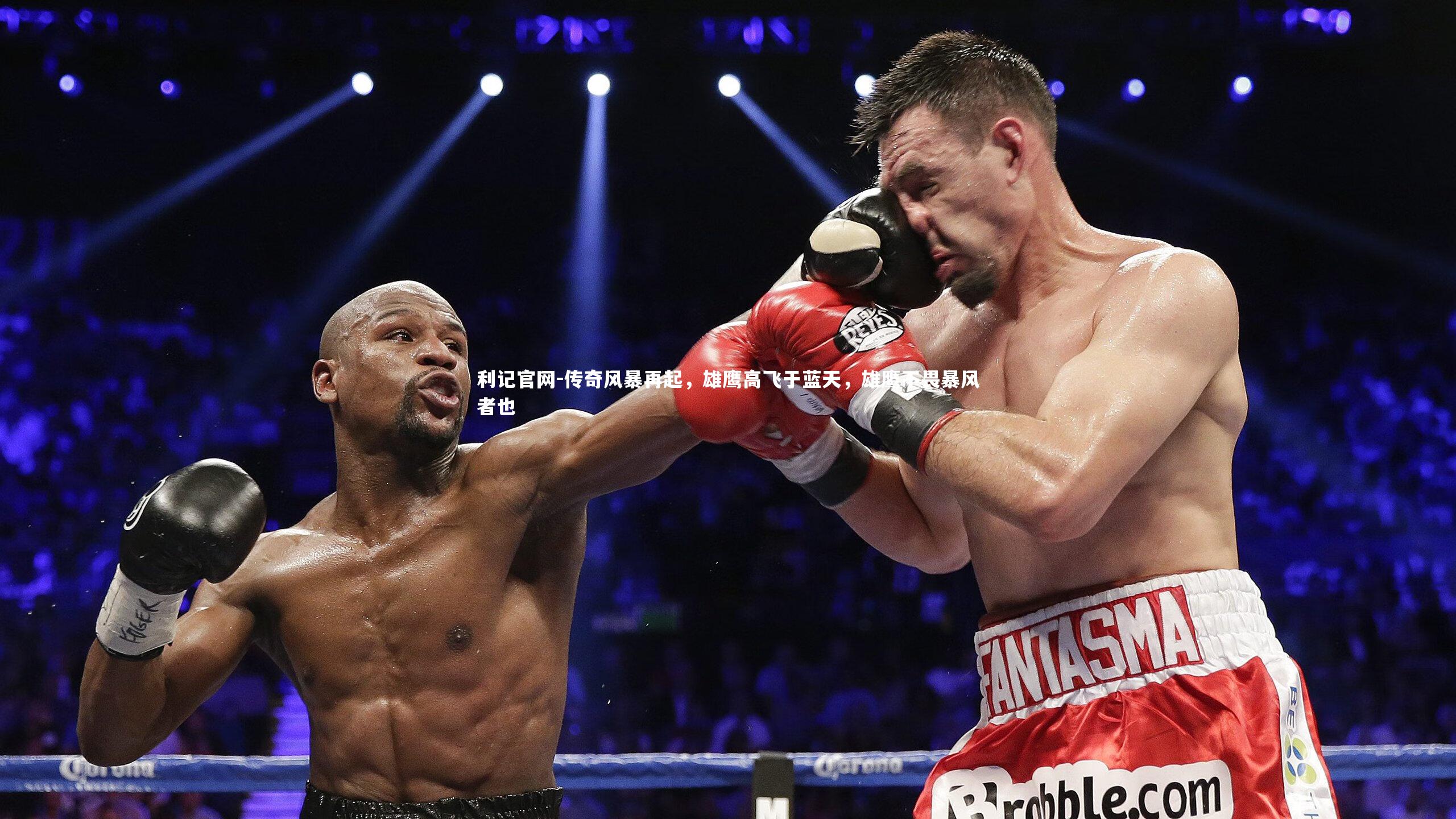 利记官网-传奇风暴再起，雄鹰高飞于蓝天，雄鹰不畏暴风者也